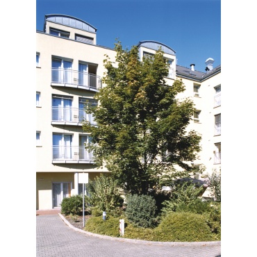 Haus am Rosengarten Neuss - Profilbild #2